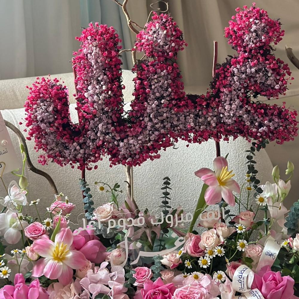 Baby Ghazal Special Stand