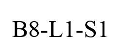 B8-L1-S1