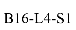 B16-L4-S1
