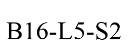 B16-L5-S2
