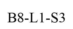 B8-L1-S3