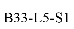 B33-L5-S1