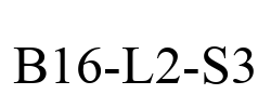 B16-L2-S3