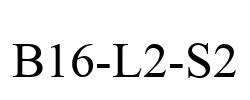 B16-L2-S2