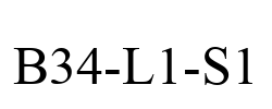 B34-L1-S1