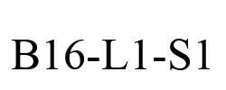 B16-L1-S1