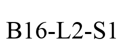 B16-L2-S1