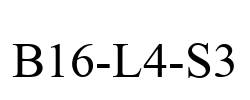 B16-L4-S3