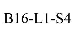 B16-L1-S4