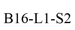 B16-L1-S2