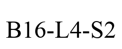 B16-L4-S2