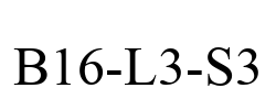 B16-L3-S3