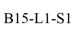 B15-L1-S1