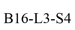 B16-L3-S4