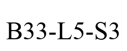 B33-L5-S3