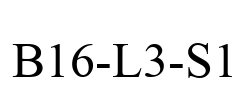 B16-L3-S1