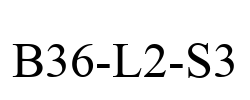 B36-L2-S3