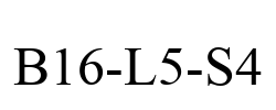 B16-L5-S4