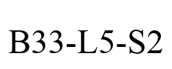 B33-L5-S2
