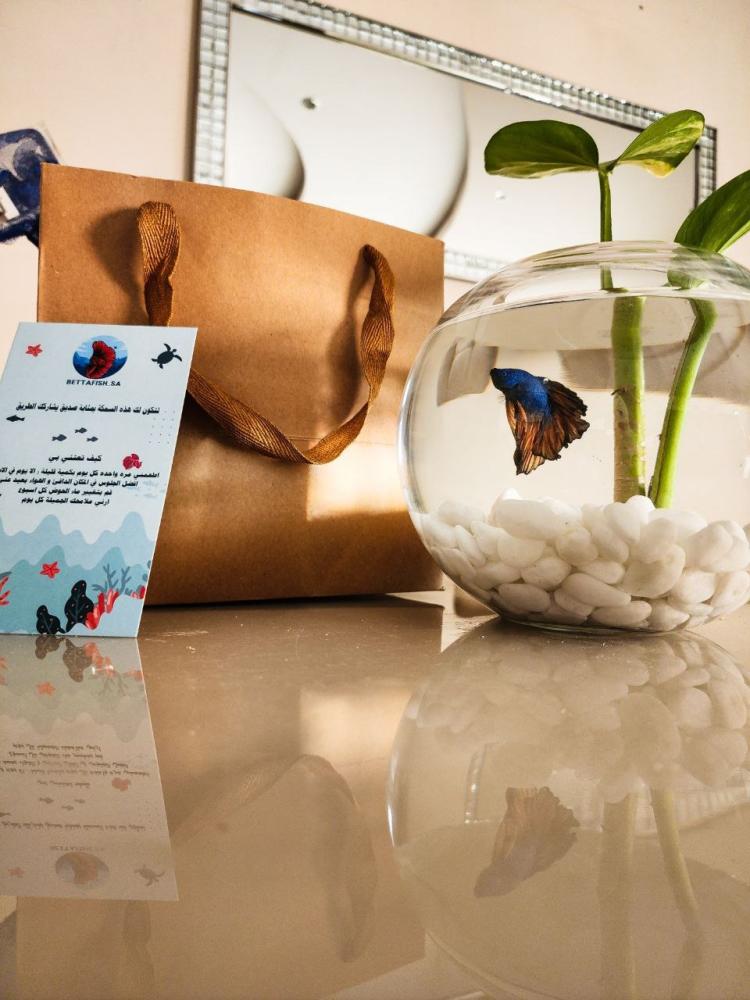 لماذا نحن لماذا نحن