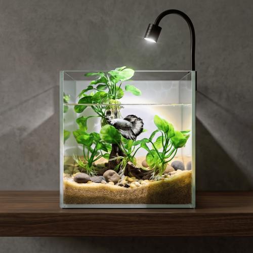 Nature Box