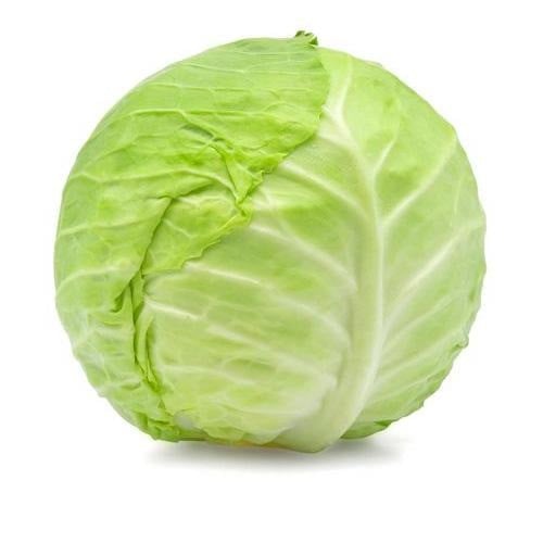 ملفوف أخضر