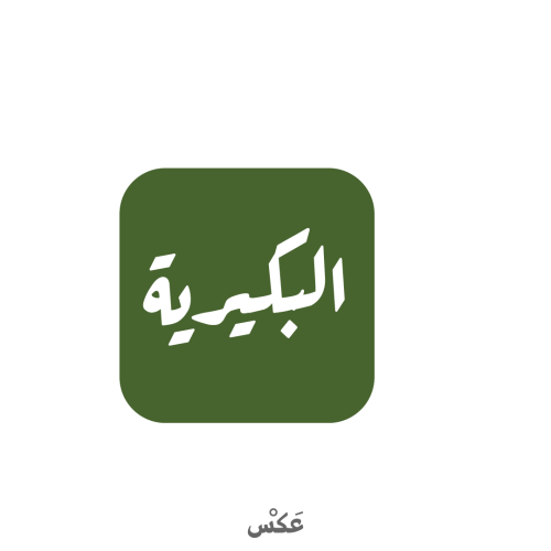 ستيكر البكيرية - مربع