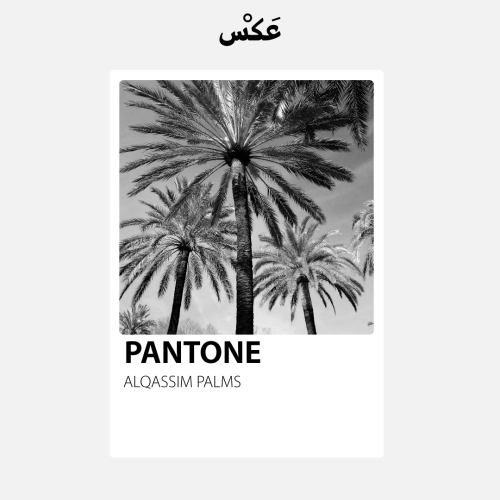 ستيكر - PANTONE