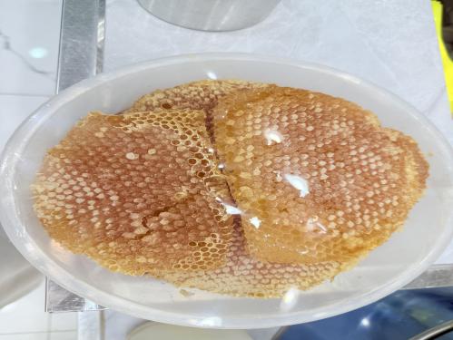 سدر وضهيانه رجال المع