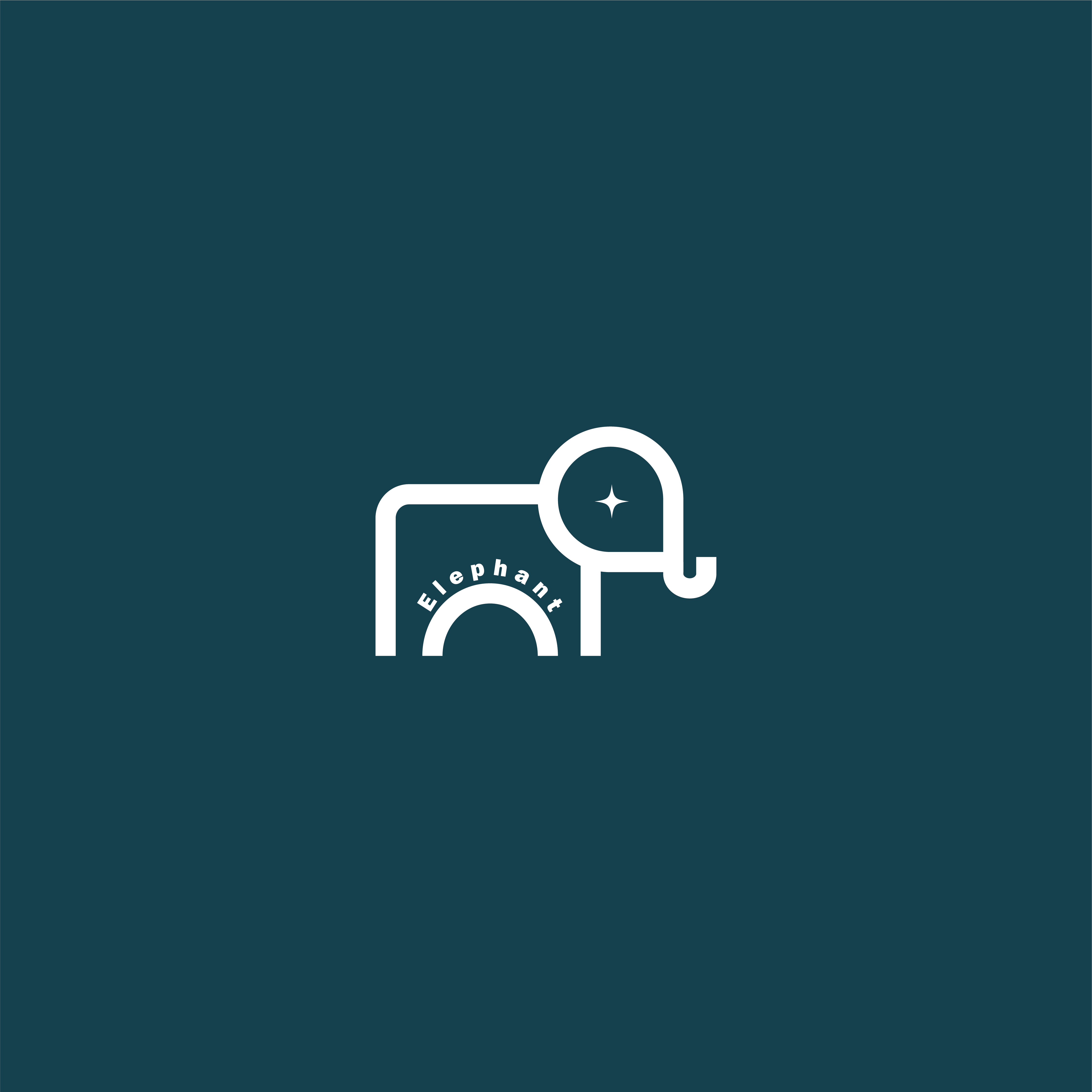 store avatar