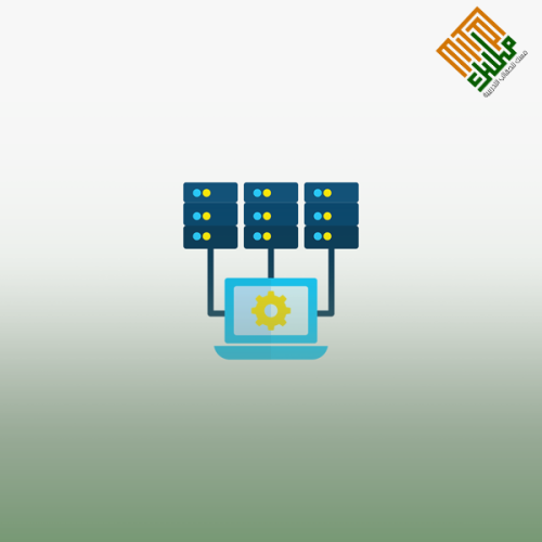 الإدارة الإلكترونية