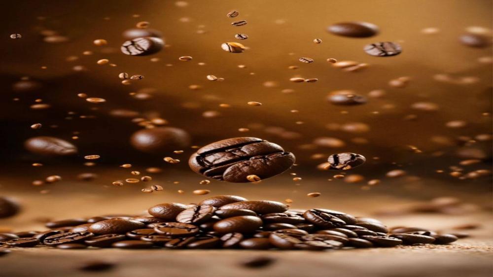 قهوة جملة لمشاريع القهوة