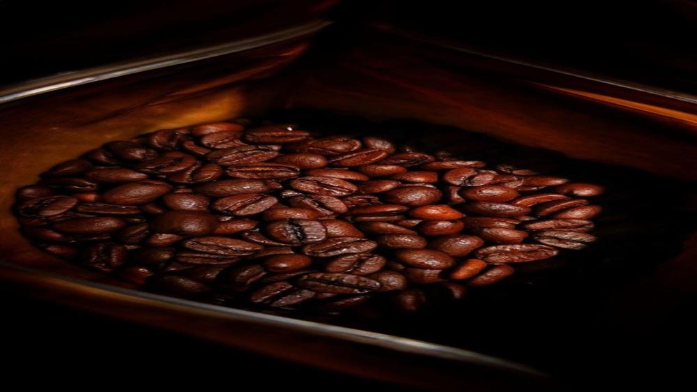 محمصة قهوة مختصة بالجملة