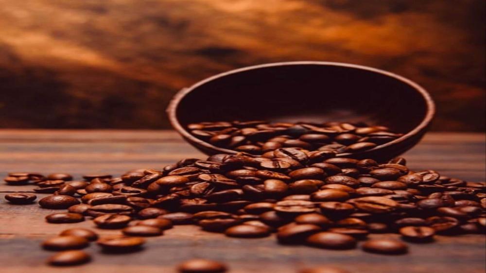 حبوب قهوة بالجملة