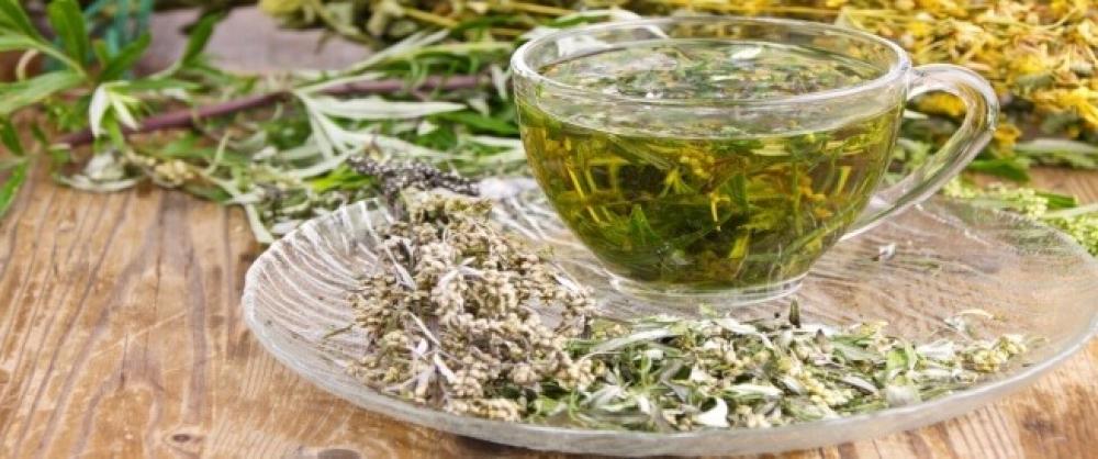 ماهي أهم فوائد شرب الشيح البلدي على الريق || تعرف عليها الان