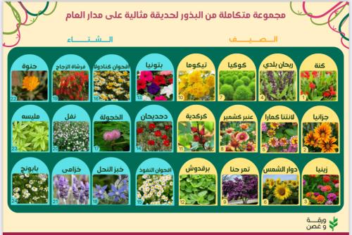 صندوق زهور الربيع