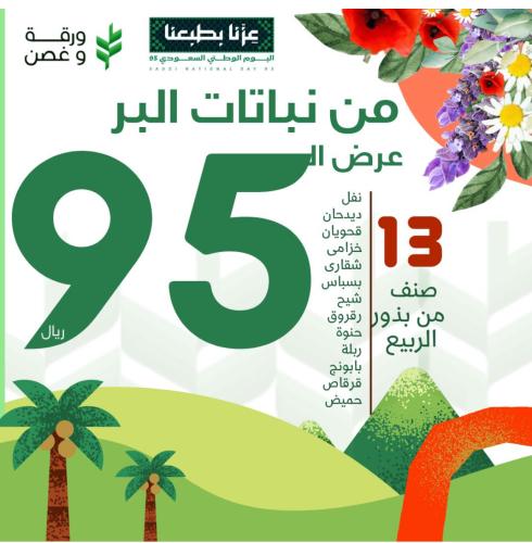 13 نوع من نباتات الربيع البرية