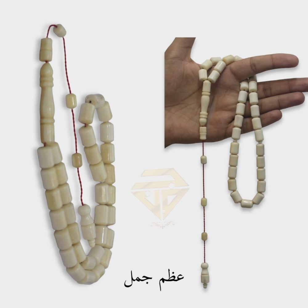 سبحةعظم جمل