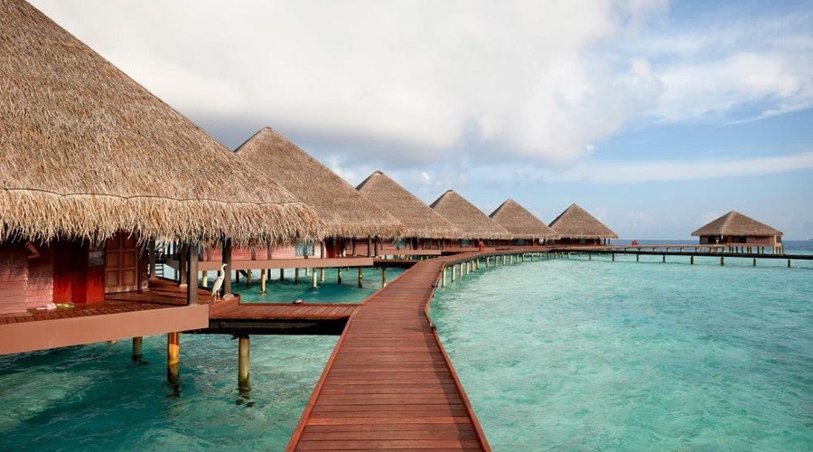 عروض اليوم الوطني 94 - 1445 هجري