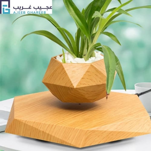 وعاء النباتات العائم للديكور المنزلي والمكتب الرفع...