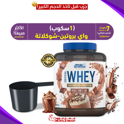 عينات بروتين،واي بروتين-شوكلاتة!,(الأكثر مبيعا!)