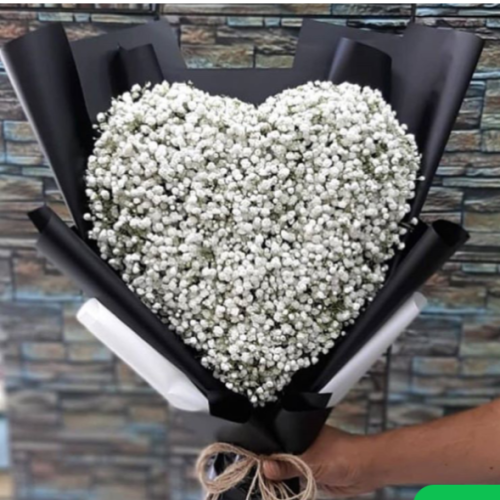 قلب المحبة الأبيض