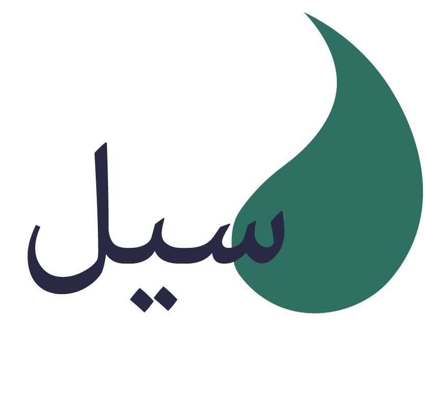 مياه سيل