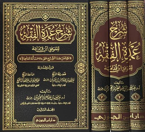 شرح عمدة الفقه ٣/١