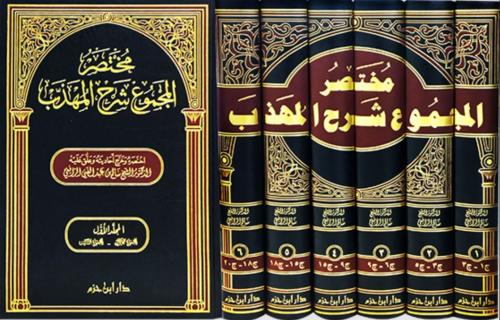 مختصر المجموع شرح المهذب 6/1 / المؤلف: سالم الرافع...