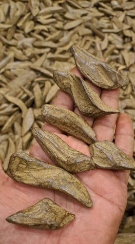 مروكي طبيعي محسن كنق بيور الثمن كيلو