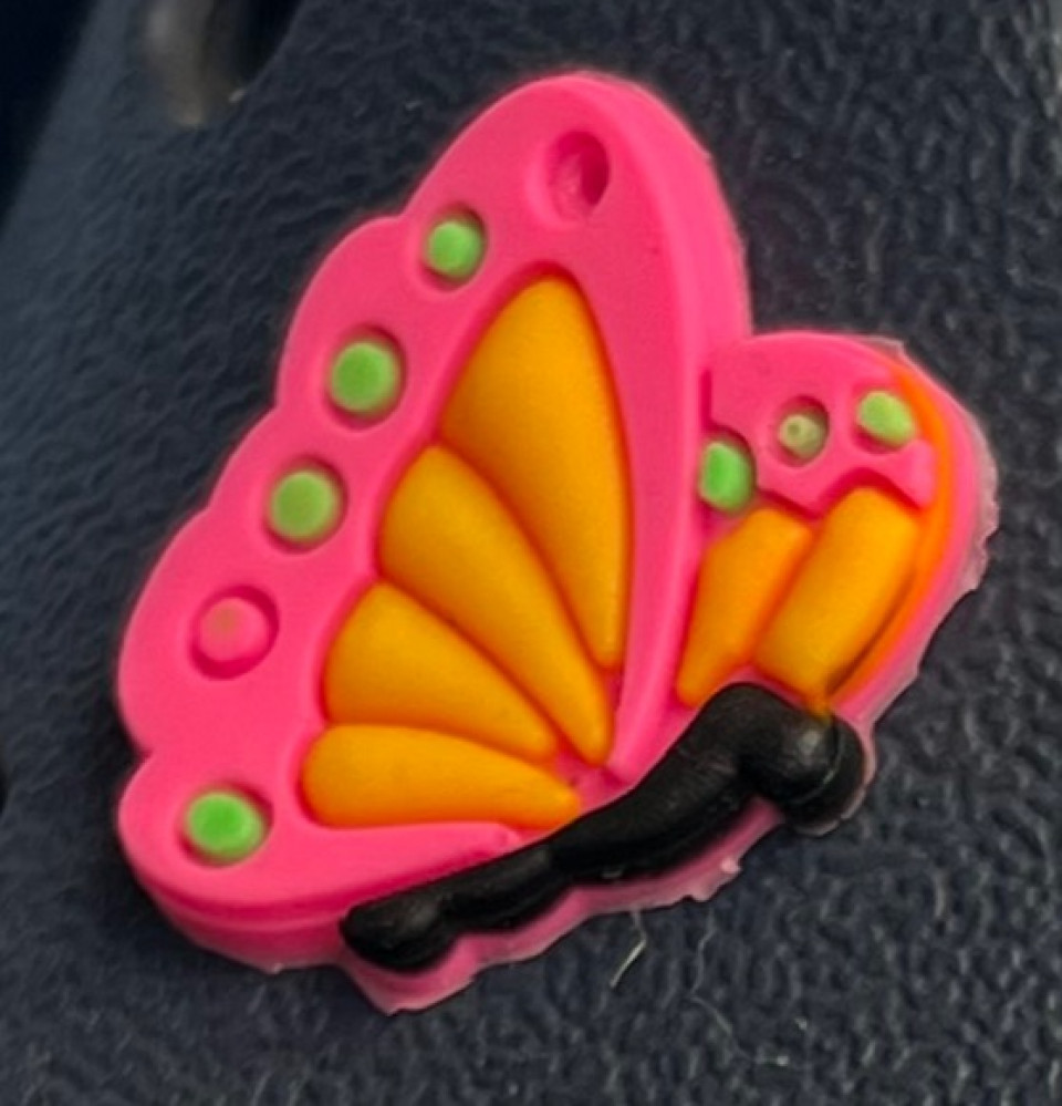 butterfly