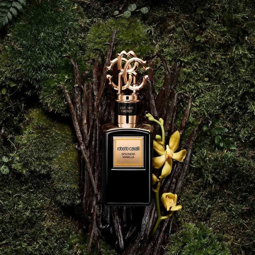 Roberto cavalli store vanilla perfume