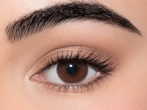 لنس مي - ديت