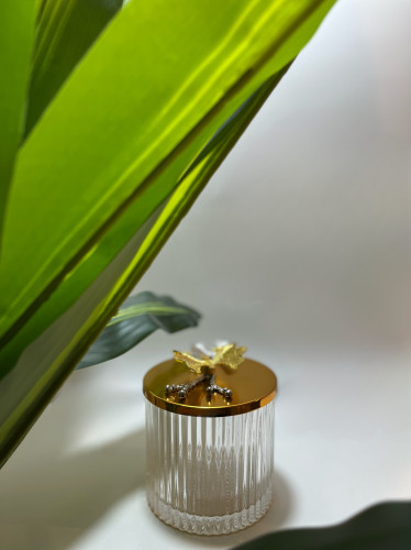 سكريات ذهبي كبير